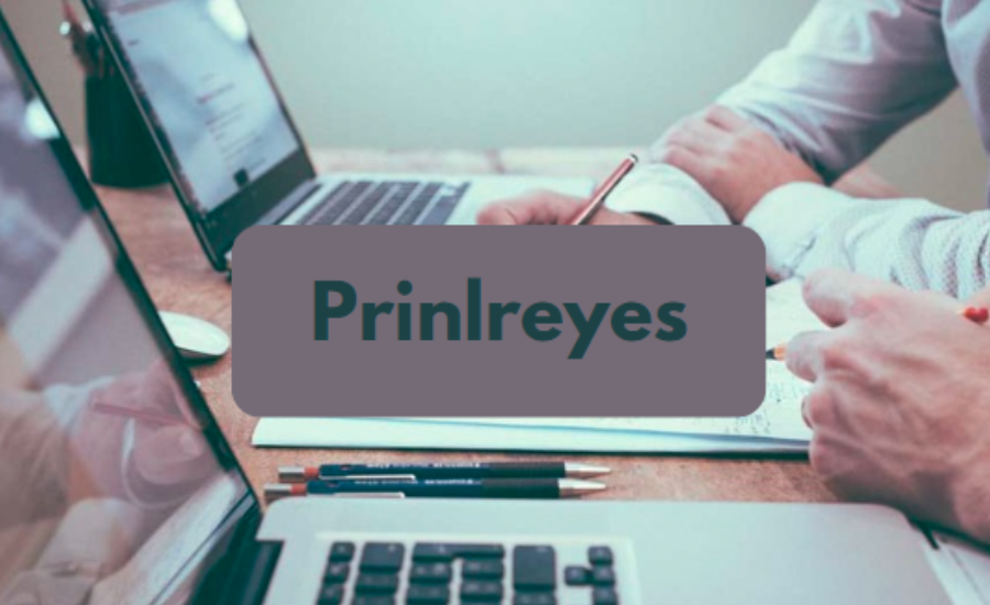 Prinlreyes: Empowering Productivity with Advanced Tools and Innovations