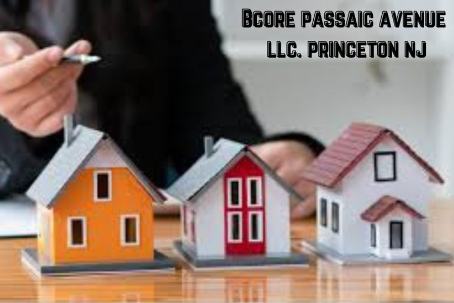 Exploring Bcore Passaic Avenue LLC in Princeton, NJ: A Comprehensive Overview